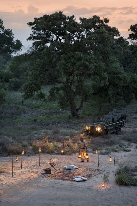 Tanda Tula Gallery - Photo's of a luxurious African Safari in the Timbavati Safari Engagement Photos, South African Wedding Venues, African Lodges, Spiritual Retreats, Luxury African Safari, Best Places To Propose, Lodge Ideas, Luxury Safari Lodge, Mother Africa