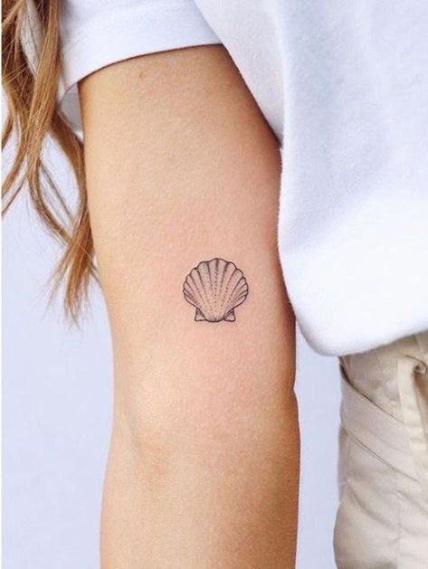 Le tatouage aux inspirations aquatiques s’est toujours révélé être un grand classique en son genre ! Bien sûr, lorsqu’il est question de ce type de motif... Tropisches Tattoo, 27 Tattoo, Shell Tattoo, Tropical Tattoo, Seashell Tattoos, Shell Tattoos, Tattoo Trend, Inspiration Tattoos, Beach Tattoo