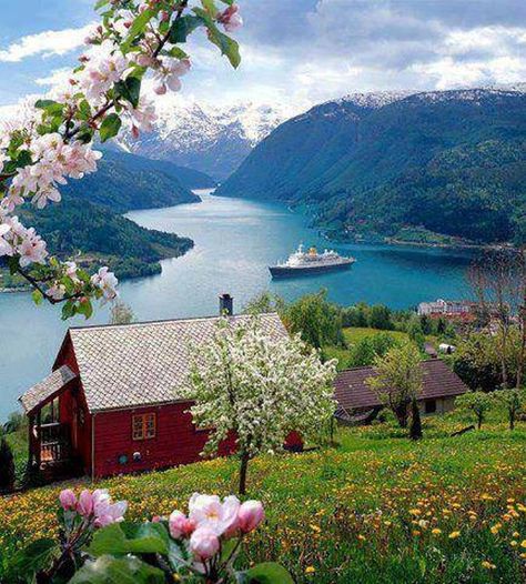 Comfort Spring Station — The stunning beauty of the Narrow Fjord in Norway ... Beautiful Norway, Norway Fjords, Voyage Europe, Red House, Beautiful Places In The World, Vacation Places, Alam Yang Indah, Pretty Places, Dream Destinations