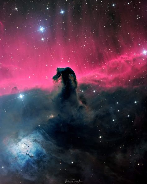 Horsehead Nebula, Biblical Paintings, Astronomy Pictures, Hubble Images, Space Stars, Watercolor Inspiration, Future Tattoos, Astronomy, Cosmos