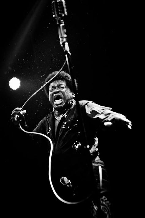 Charles Bradley, Jazz Blues, Music Photo, Music Film, Band Posters, African Culture, Music Photography, Drum And Bass, Music Stuff