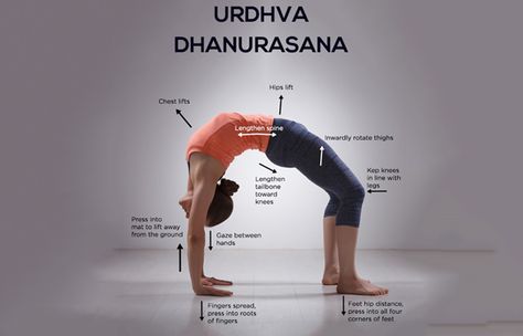 Urdhva Dhanurasana, Basic Yoga Poses, Different Types Of Yoga, Wheel Pose, Basic Yoga, Bikram Yoga, Types Of Yoga, Ashtanga Yoga, Yoga Postures