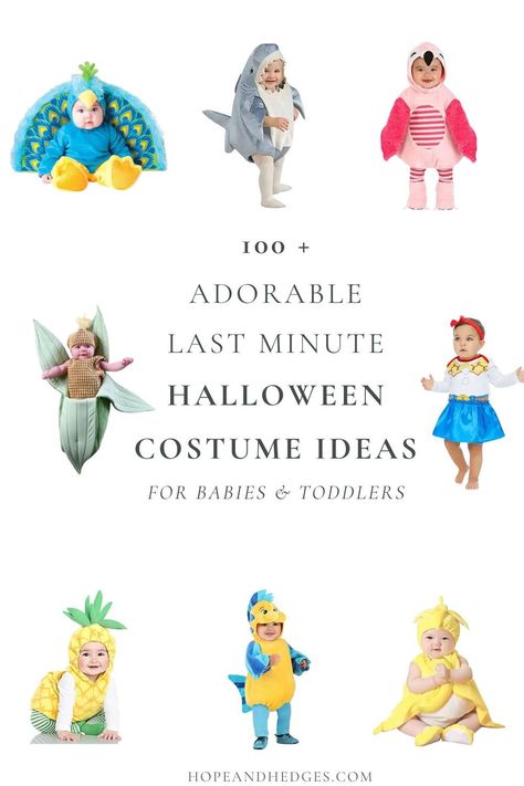 So CUTE! If you're looking for adorable last minute Halloween costume ideas for babies or toddlers, this round up of over 100 baby costume ideas (also perfect as toddler costume ideas), are all so sweet! From a baby pineapple costume to a baby peacock costume, these are the sweetest! Last Minute Toddler Costume, Easy Toddler Halloween Costumes, Baby Peacock Costume, Toddler Costume Ideas, Diy Toddler Halloween Costumes, Toddler Girl Halloween Costume, Baby Halloween Costume Ideas, Cute Toddler Halloween Costumes, Diy Baby Halloween Costumes