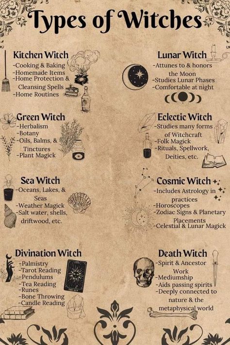 Green Witch Kitchen, Spell Ingredients, Witch Kitchen, Lunar Witch, Astrology Forecast, Tea Reading, Grimoire Book, Eclectic Witch, Wiccan Spells