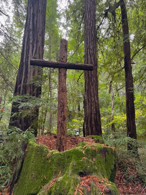 #nature #cross #Jesus #easter #forest #peaceful #woods #woodland #westcoast #california #mountains Forest Peaceful, Christian Core, Jesus Easter, Way Of The Cross, California Mountains, Cross Jesus, Stations Of The Cross, Wallpaper Iphone Christmas, Forest Art