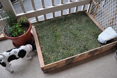 Wood Pallet Patio Potty - PetDIYs.com Dog Potty Patch, Sod Grass, Porch Potty, Dog Litter Box, Pallet Patio, Dog Potty, Diy Porch, Animal Projects, Décor Diy