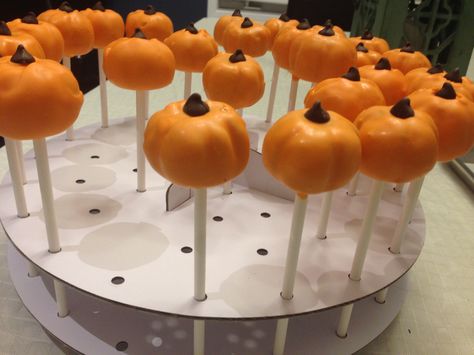 Pumpkin Cake Pops Pumpkin Roll Cake Pops, Cake Pop Pumpkins, Cake Pops Designs Thanksgiving, Jack O Lantern Cake Pops, Simple Halloween Cake Pops, Cake Pops Fall Theme, Fall Inspired Cake Pops, Pumpkin Shaped Cake Pops, Pumpkin Cake Pops Recipe