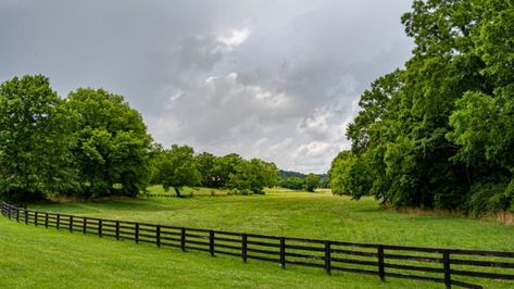 Best Places To Live In Tennessee, Living In Tennessee, Pulaski Tennessee, Tennessee Landscape, Tennessee Homes, Tennessee Living, Tennessee Farm, Tennessee Road Trip, Farm Town