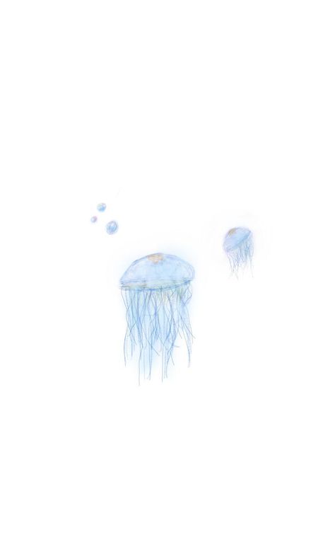 #jellyfish #jellyfishwallpaper #nft #wallpaper #blue Blue Wallpaper Jellyfish, Light Blue Ipad Wallpaper, Blue Jellyfish Wallpaper, Jellyfish Wallpaper Aesthetic, Light Blue Jellyfish, Nft Wallpaper, Jelly Fish Wallpaper, Jellyfish Background, Blue Ios