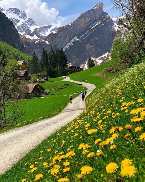 ⠀ Beautiful strolls through the Swiss countryside 😍 Who’d you hike here with? Photo by @justyna0119 Always #wondermore ⠀ Follow… Appenzell Switzerland, Hiking Scenery, Prostate Surgery, Switzerland Vacation, Alam Yang Indah, In The Mountains, Nature Travel, Most Beautiful Places, Wonderful Places