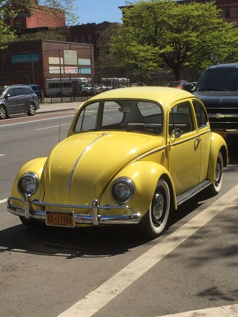 Yellow Vw Beetle Vintage, Old Beetle Car, Yellow Vw Beetle, Yellow Beetle, Scooters Vespa, Old Bug, Volkswagen Beetle Vintage, Aryton Senna, Vw Classic