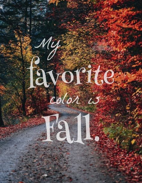 Fall Time Quotes, Seasons Months, Halloween Queen, Autumn Scenes, Autumn Quotes, Autumn Scenery, Fabulous Fall, Happy Fall Y'all, Seasons Of The Year