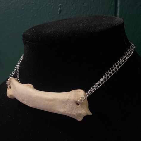 Animal Bone Jewelry, Femur Bone, Vulture Culture, Bone Necklace, Bone Jewelry, Animal Bones, Chain Choker, Taxidermy, Goth Fashion