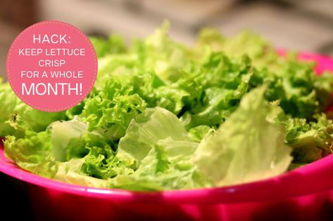 Hack: How to Store Lettuce to Keep it Fresh for a Whole Month! Mud Cake Hack, Storing Lettuce, Avocado Hacks, Easy Dinner Dishes, Baked Feta Pasta, Sausage Roll, Pinata Cake, Head Of Lettuce, Feta Pasta