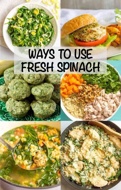 Fresh spinach is an easy, versatile veggie to keep on hand. Check out these ideas and recipes for ways to use it. Spinach Recipes Side, Spinach Dinner Recipes, Fresh Spinach Recipes, Easy Spinach Recipes, Cook Fresh Spinach, Baby Spinach Recipes, Spinach Recipes Healthy, Simple Spinach Salad, Spinach Healthy