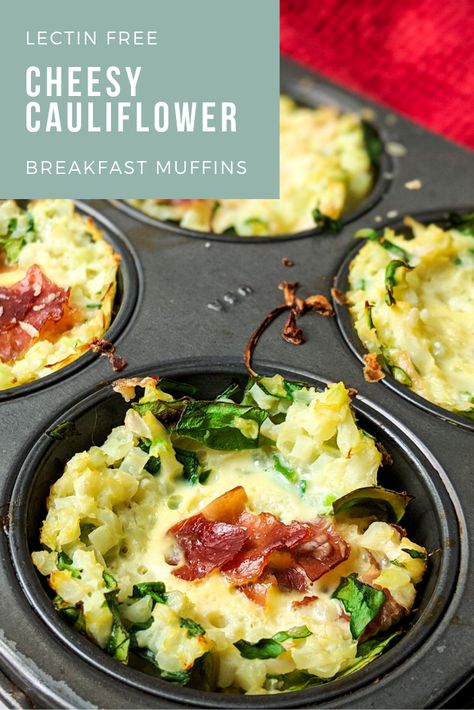 Lectin Free Cauliflower Recipes, Plant Paradox Dessert Recipes, Lectin Free Breakfast Recipes, Lectin Free Breakfast Ideas, Plant Paradox Breakfast, The Plant Paradox Recipes, Plant Paradox Breakfast Recipes, Lectin Free Snacks, Lectin Free Dinners