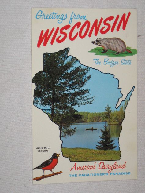 Vintage Postcard Greetings from Wisconsin The Badger State Northwoods Wisconsin, Michigan Outline, State Project, Wisconsin Pride, Departures Board, La Crosse Wisconsin, Rochester Mn, Vintage Wisconsin, Travel Wisconsin