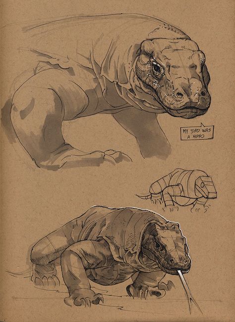 Reptile Sketch, Reptiles Preschool, Reptiles Activities, Drawings Of Animals, Some Drawings, Nature Sketch, Cute Reptiles, Komodo Dragon, Animal Study