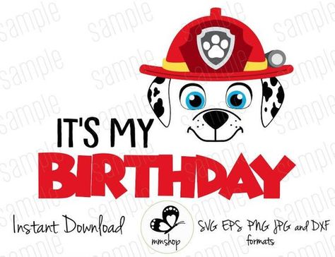 It's My Birthday - Marshall - Paw Patrol - Instant Download - SVG FILES Paw Patrol Birthday Shirt Cricut, Cricut Paw Patrol Projects, Cricut Paw Patrol, Marshall Paw Patrol Birthday, Paw Patrol Svg, Camera Cakes, Paw Patrol Birthday Shirt, Cricut Birthday Cards, Cricut Birthday