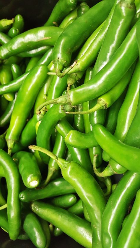 green chilies Chili Pictures, Dried Red Chili Peppers, Green Chili Sauce, Fruits And Vegetables Pictures, Stuffed Peppers Healthy, Kensington Market, Stuffed Anaheim Peppers, Canned Green Chilies, Vegetables Photography