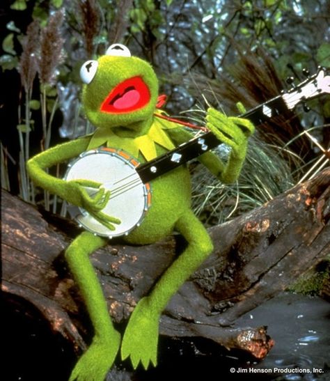 Kermit The Frog Costume, Frog Costume, Fraggle Rock, Rainbow Connection, The Muppet Show, Kermit The Frog, Frog And Toad, Jim Henson, Simple Green