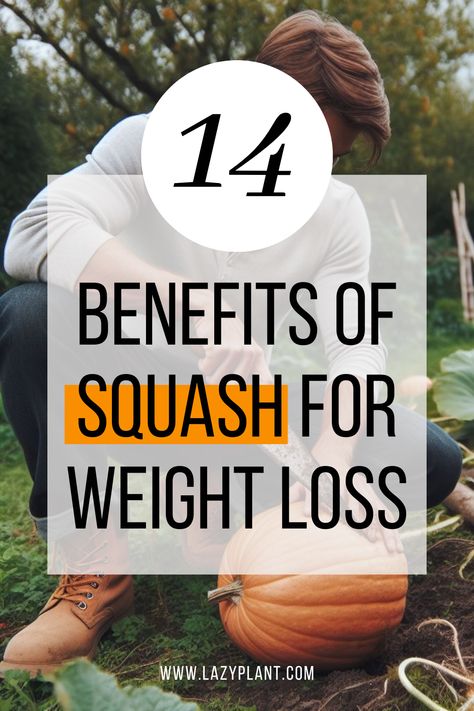 Squash varieties are valuable allies in weight loss journeys. Consider pumpkin, acorn, and butternut squash, which are abundant in carotenoids and polyphenols. Moreover, they offer notable quantities of B vitamins, vitamins C and E, fiber, copper, phosphorus, and several other components that aid in fat oxidation and appetite control. Butternut Squash Health Benefits, Benefits Of Squash, Benefits Of Butternut Squash, Butternut Squash Benefits, Winter Squash Varieties, Control Appetite, Squash Varieties, Yummy Smoothie Recipes, B Vitamins