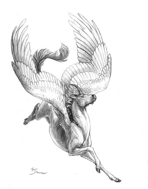 Pegasus Drawing, Pegasus Art, Animal Tattoo Ideas, Fantasy Horses, Horse Tattoo, Creature Drawings, Horse Drawings, Horse Drawing, Best Tattoo Designs