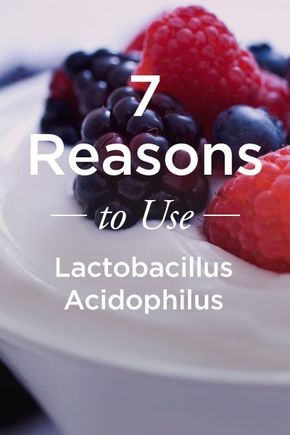 Acidophilus Benefits, Easy Smoothie Recipe, Probiotic Benefits, Auto Immune, Health Guru, Lactobacillus Acidophilus, Probiotic Foods, Easy Smoothie Recipes, Leaky Gut