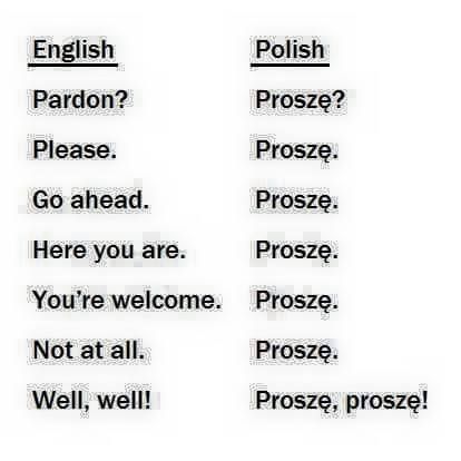 Lol, so many uses for proszę ! Polish Alphabet, Learn Polish, Polish People, Polish Words, Polish Memes, Learning Languages Tips, Polish Language, Different Languages, Polish Recipes