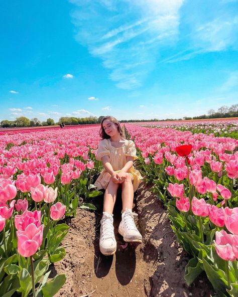 Flower Picking Outfit, Pink Diary, Tulips Images, Carlsbad Flower Fields, Tulip Field, Spring Sunglasses, Tulip Season, Spring Portraits, Beautiful Photoshoot Ideas