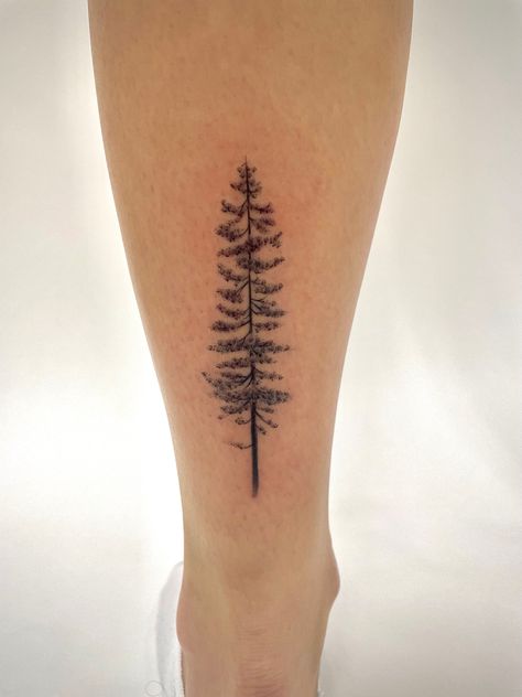 Back of ankle jackpine tree tattoo womans Jackpine Tattoo, Pine Tree Tattoo Leg, Fine Line Redwood Tree Tattoo, Alpine Tree Tattoo, Norfolk Pine Tree Tattoo, Red Wood Tattoo, Norway Pine Tattoo, Western Hemlock Tattoo, Larch Tree Tattoo