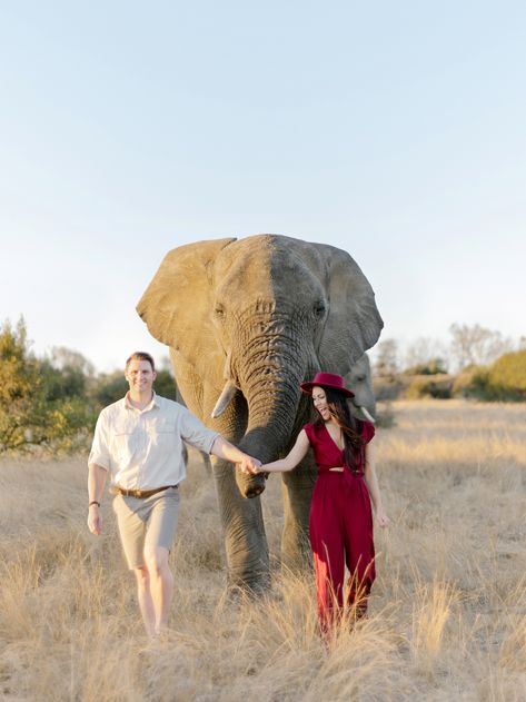 Safari Family Photoshoot, Safari Photo Ideas, Safari Pictures Ideas, Safari Engagement Photos, Safari Photoshoot, African Safari Photo Ideas, Habitat Destruction, The Older I Get, Kruger National Park