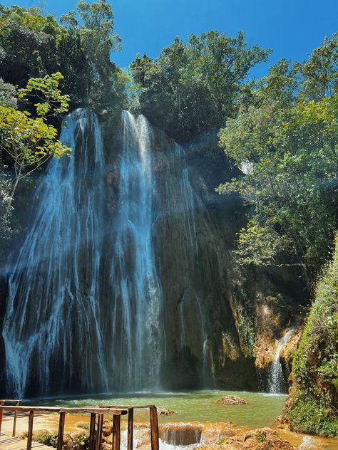 THE BEST WAY TO VISIT EL LIMON WATERFALL (SALTO EL LIMON) Dominican Republic Waterfall, Famous Waterfalls, Ferry Boat, Happy Travels, Peaceful Places, Punta Cana, Local Guide, Group Tours, Dominican Republic