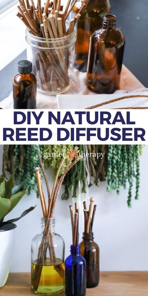 Diy Reed Diffuser Oil, Reed Diffuser Diy, Homemade Diffuser, Diy Oil Diffuser, Natural Pharmacy, Homemade Reed Diffuser, Diy Essential Oil Diffuser, Diffuser Diy, Essential Oil Reed Diffuser