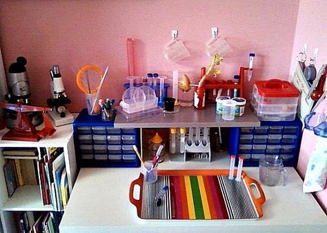 I'm not new to keeping a seasonal nature table in a corner of our home Kids Science Lab, Science Bedroom, Science Table, Science Room, Science Stations, Science Themes, Boy Bedroom, Science Lab, Learning Spaces