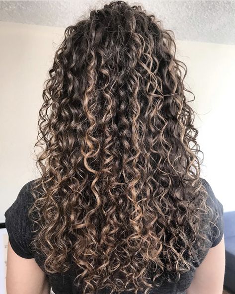 Highlights On Curly Dark Hair, 3a Curly Hair, Blonde Highlights Curly Hair, 3a Hair, 3b Hair, Dark Curly Hair, 4b Hair, 4a Hair, Hair 4c