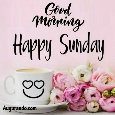 Happy Sunday Love, Morning Sunday Images, Happy Sunday Images, Good Morning Sunday, Good Morning Sunday Images, Happy Sunday Morning, Sunday Morning Quotes, Sunday Wishes, Sunday Images