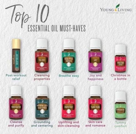 Young Living Essential Oils on Instagram: “Here are 10 essential oil must-haves to add to your collection!😍 . . . . . . . #youngliving #yleo #hearthealth #hearthealthy…” Essential Oils Purposes, Young Living Products, Eucalyptus Tea, Yl Oils, Living Essentials Oils, Health Medicine, Living Essentials, Oil Diffuser Blends, Young Living Oils