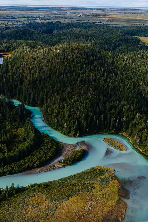 https://flic.kr/p/pxEy16 | Cordova, Alaska + Copper River Salmon // the year in food | theyearinfood.com/2014/10/cordova-alaska-copper-river-sal... Cordova Alaska, Copper River Salmon, Alaska Salmon, North To Alaska, Salmon Fishing, Alaska Travel, Vacation Places, Andalusia, Oh The Places Youll Go