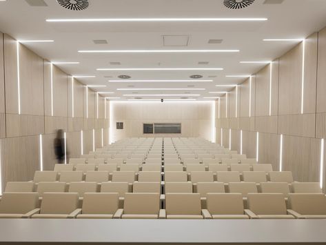 Chambers of Handicrafts - Trento, Italy - LAMM Small Lobby, Conference Room Design, Modern Theatre, Auditorium Design, Building Lobby, Design University, Interior Kantor, Multipurpose Hall, Function Hall