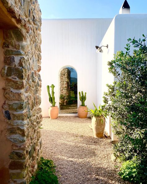 Project by CASA MAA IBIZA - authentic renovated finca on the north of Ibiza Ibiza Garden, Spain Living, Ibiza Lifestyle, North Spain, Plants In Jars, Spain Design, Living Interior, Ibiza Spain, Stone Masonry