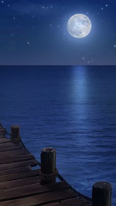 Beautiful Moon Night, Blue Moon Wallpaper, Wattpad Background, Episode Interactive Backgrounds, Scenery Background, Night Scenery, Trending Pins, Beautiful Landscape Wallpaper, Fantasy Art Landscapes