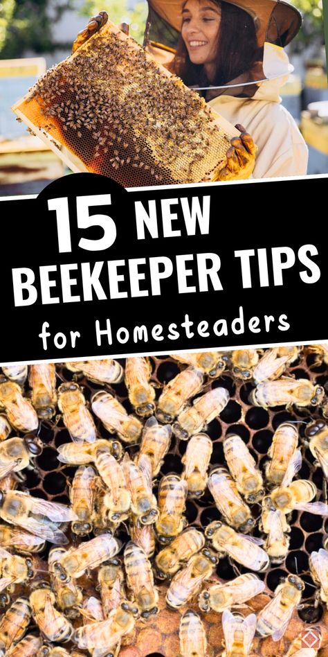 Bee-ready with these 15 beekeeping tips for beginners on the homestead! This guide covers all the basics, from choosing the right hive location to managing bee health and harvesting honey. Great for new beekeepers, these tips make it easy to set up and care for a productive hive. Save this pin to learn about backyard beekeeping and keep your bees happy and healthy all season. Bee Keeping For Beginners Backyards, How To Raise Bees For Honey, Raising Bees For Beginners, Bee Hotels Diy, Beekeeping Aesthetic, Bee Keeping For Beginners, Diy Bee Hive, Brainstorming Board, Beginner Beekeeping