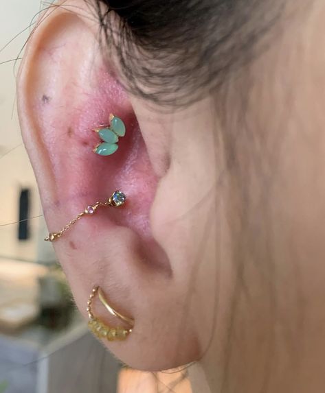 Conch Chain, Raven Aesthetic, Jewels Nails, Ear Curation, Piercings Earrings, Ear Piercing Ideas, Cool Ear Piercings, Cute Ear Piercings, Ear Design