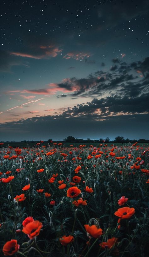 Poppy Wallpaper Aesthetic, Poppies Aesthetic, Poppies Field, Nature Mountains, Lovely Flowers Wallpaper, Pretty Landscapes, Pola Sulam, Montage Photo, Poppy Field