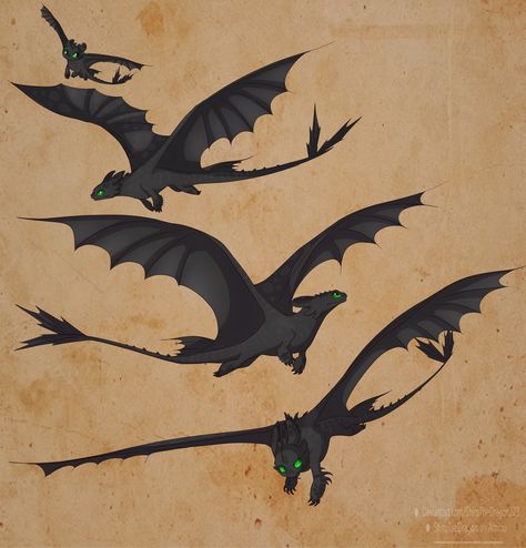 Httyd Tattoo, Dragons Tattoos, Toothless Sketch, Toothless Drawing, Realistic Animal Drawings, Dragon Images, Httyd Dragons, Dragon Party, Dragon Trainer