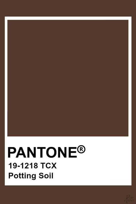 Potting Shades Of Brown Pantone, Brown Pantone Shades, Brown Colour Pantone, Soil Color Palette, Brown Pantone Palette, Pantone Colors Brown, Pantone Brown Shades, Dark Brown Pantone, Pantone Cafe