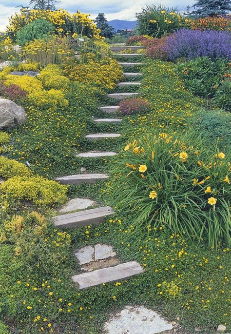 Landscaping A Slope, Landscape Stairs, Hillside Garden, Sloped Backyard, Garden Stairs, Hillside Landscaping, Sloped Garden, Garden Walkway, Garden Steps