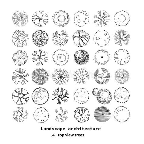 Top view big vector set of different trees.Hand drawn illustration for landscape design, plan, maps.Collection of trees royalty free illustration Tree Dwg, Hexagonal Architecture, Architectural Trees, Different Trees, Landscape Architecture Diagram, Trees Top View, Landscape Design Drawings, Landscape Architecture Drawing, Tree Plan