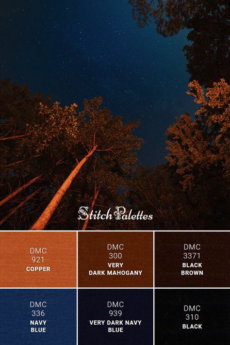 Copper Colour Palette, Navy Color Palette, Navy And Copper, Black Color Palette, Orange Color Palettes, Brown Color Palette, Color Schemes Colour Palettes, Dark Mahogany, Blue Palette